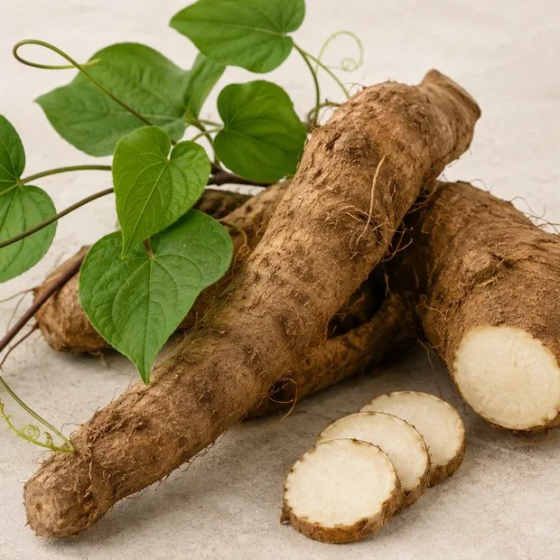 Wild Yam Root